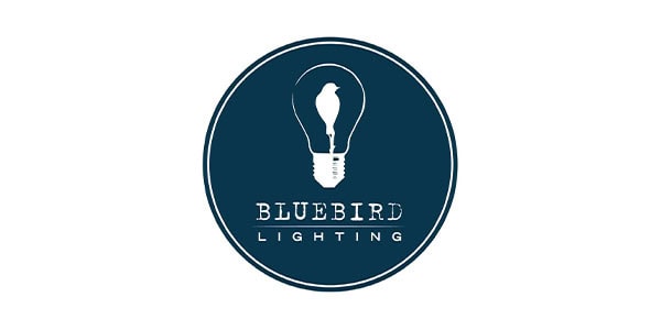blue bird lighting